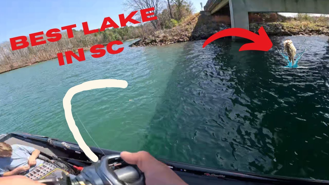 THIS HAS TO BE THE BEST LAKE IN SOUTH CAROLINA  |  Pre-spawn Bass Fishing