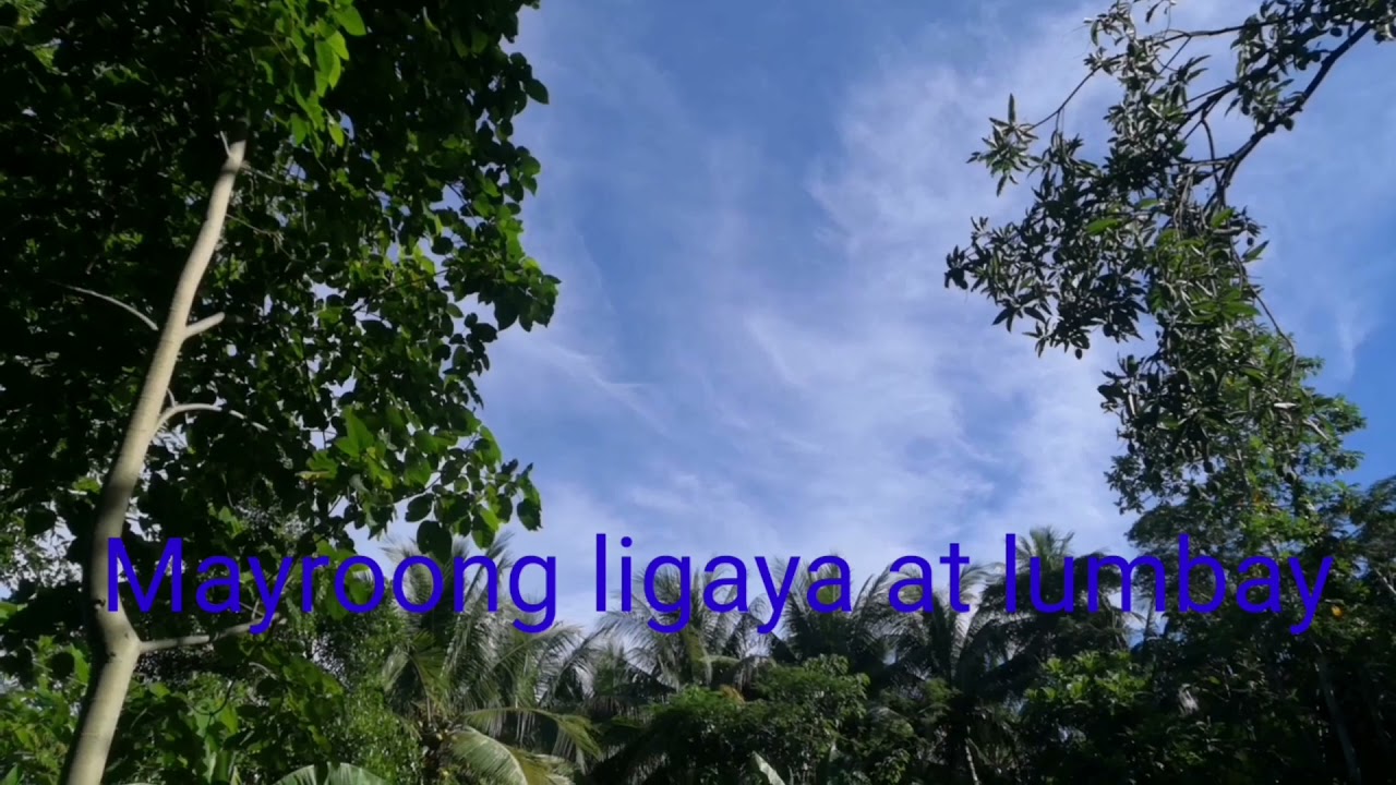 may bukas pa(areglo/minus-one)
