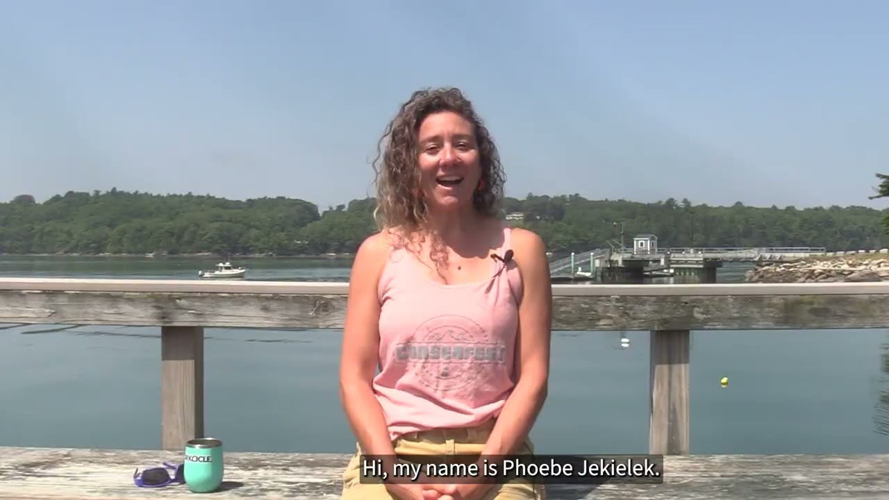 Shell-ebrate! Dive into Bivalve Aquaculture