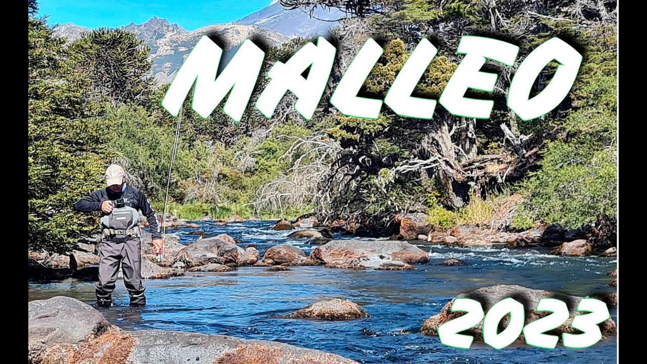 MALLEO 2023