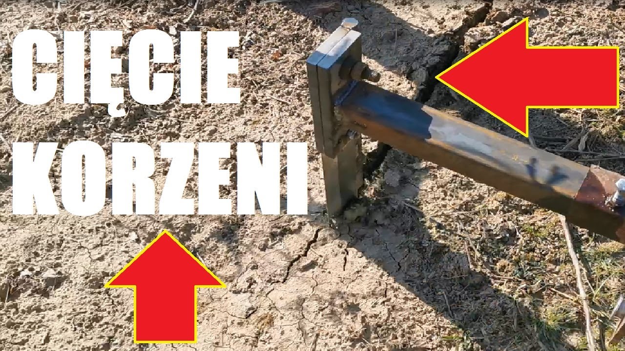 Sadowniczy Vlog #41/Cięcie korzeni jabłoni