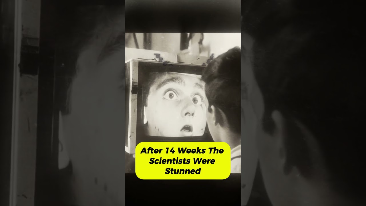 The Secret Reptile Soldier Who Walks Among Us - Echo 9 Lab (1961)