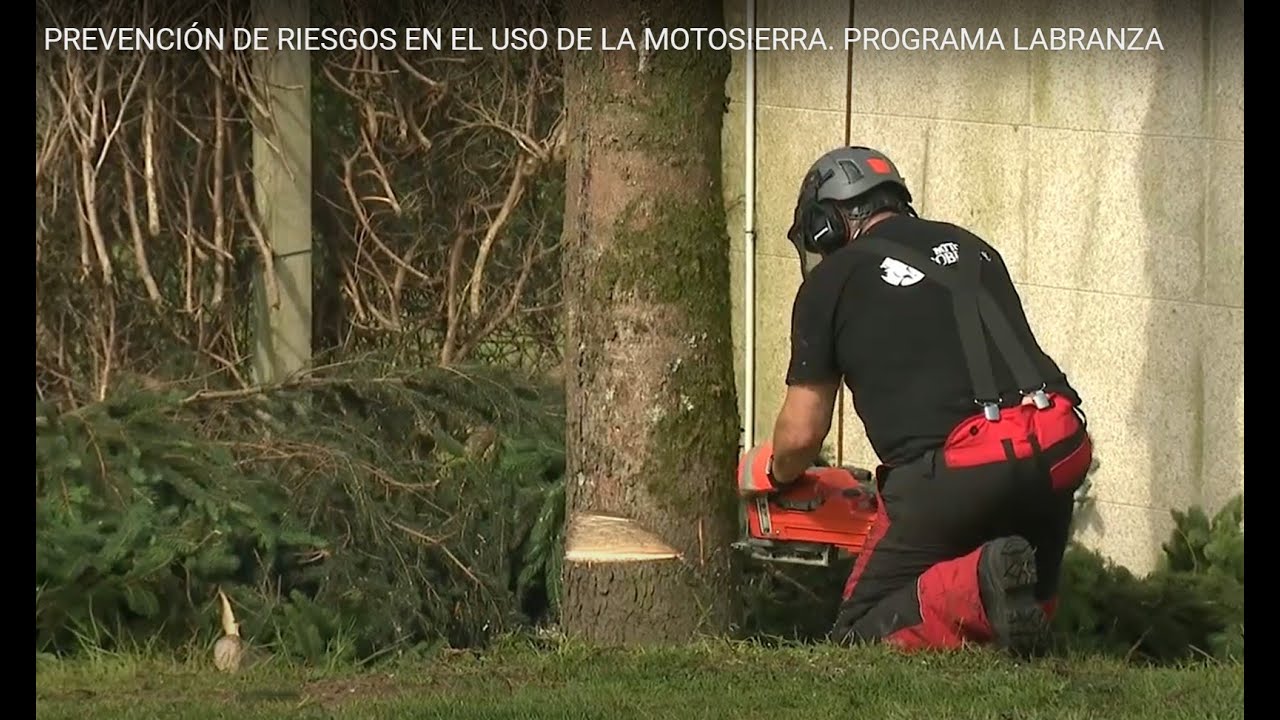 PREVENCIÓN DE RIESGOS EN EL USO DE LA MOTOSIERRA. PROGRAMA LABRANZA