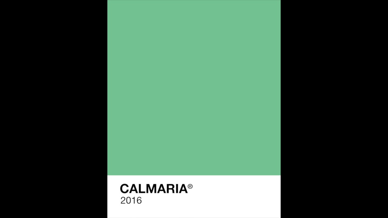 Marujos - Calmaria