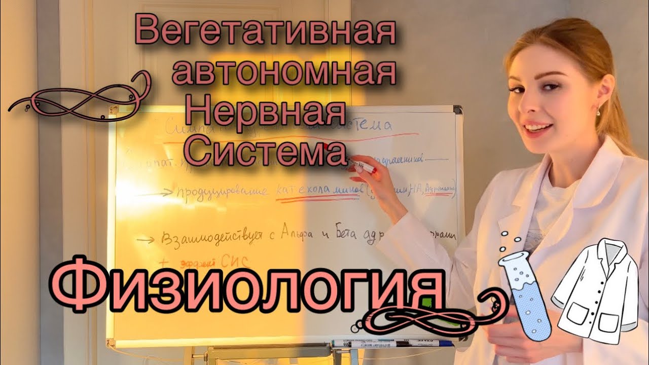 Вегетативная нервная система|Физиология|Метасимпатическая нервная система