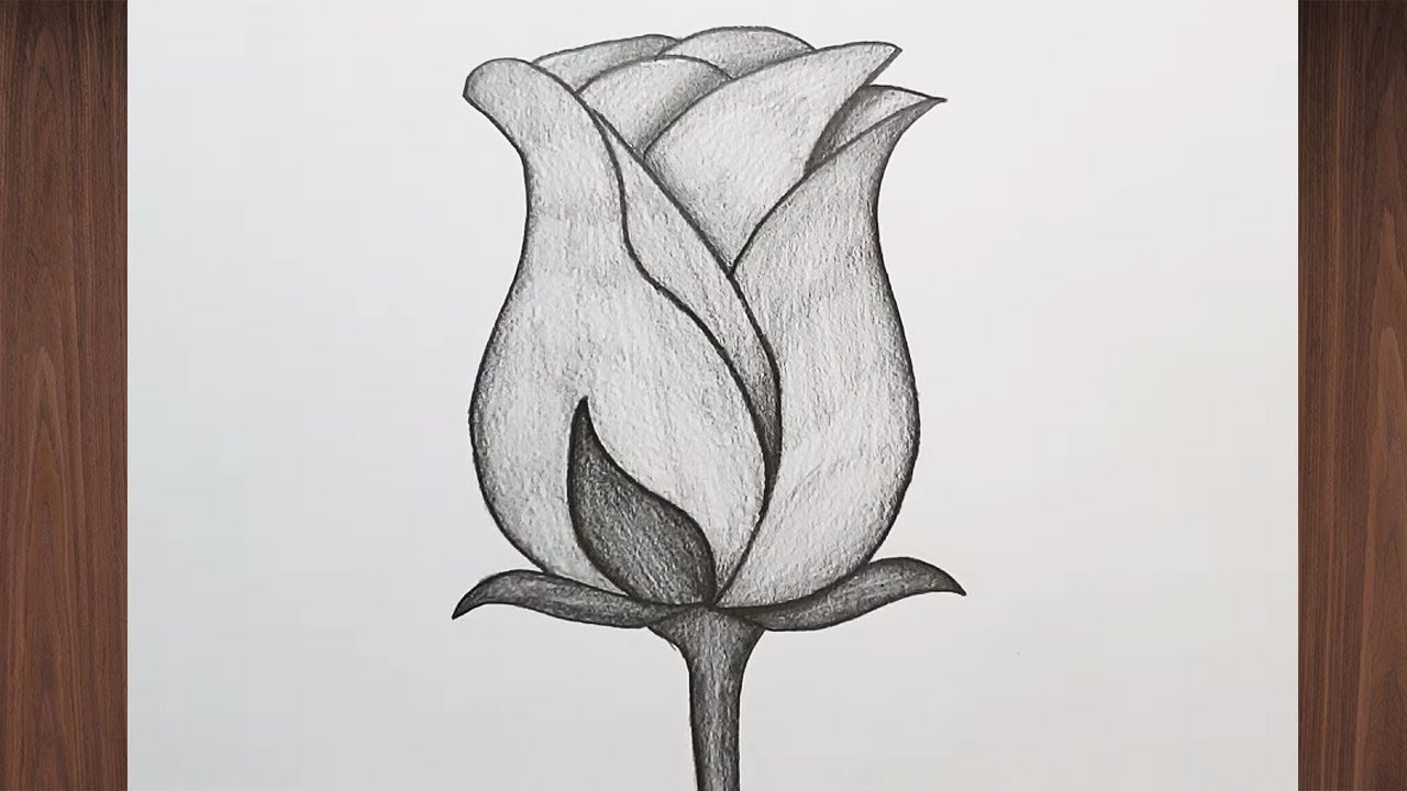 Gül Çizimi | Gül Nasıl Çizilir 🌹
