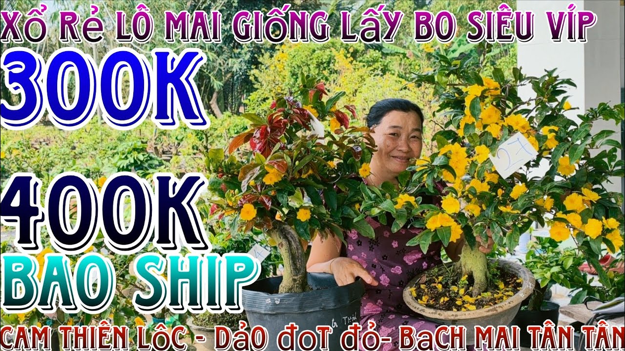 🌈09/3/2026☎️0395531739(chắc nguyễn)🔥xổ rẻ dọn vườn 29 mã số hàng bonsai già mùa đế víp lấy siêu bo