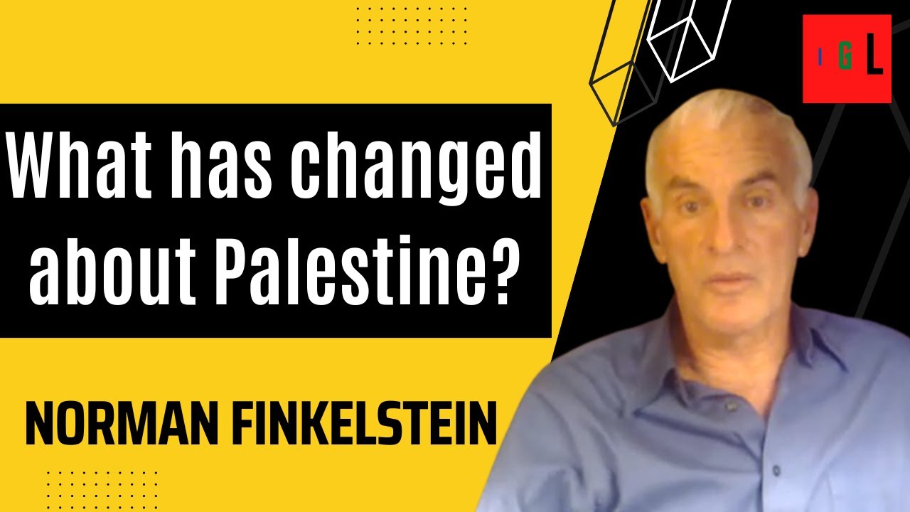 Norman Finkelstein: What is the reality of Palestine movement, BDS and Arab World today? #palestine