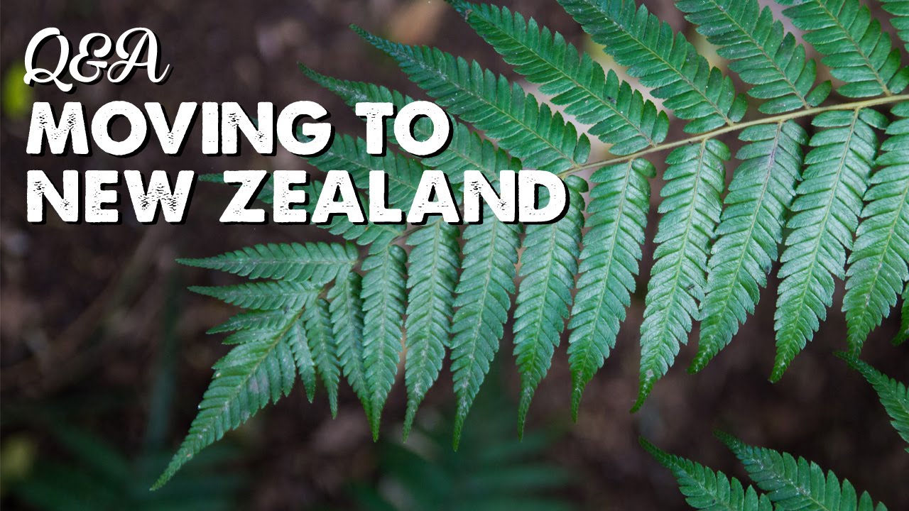 Moving to New Zealand Q&A 2 | A Thousand Words