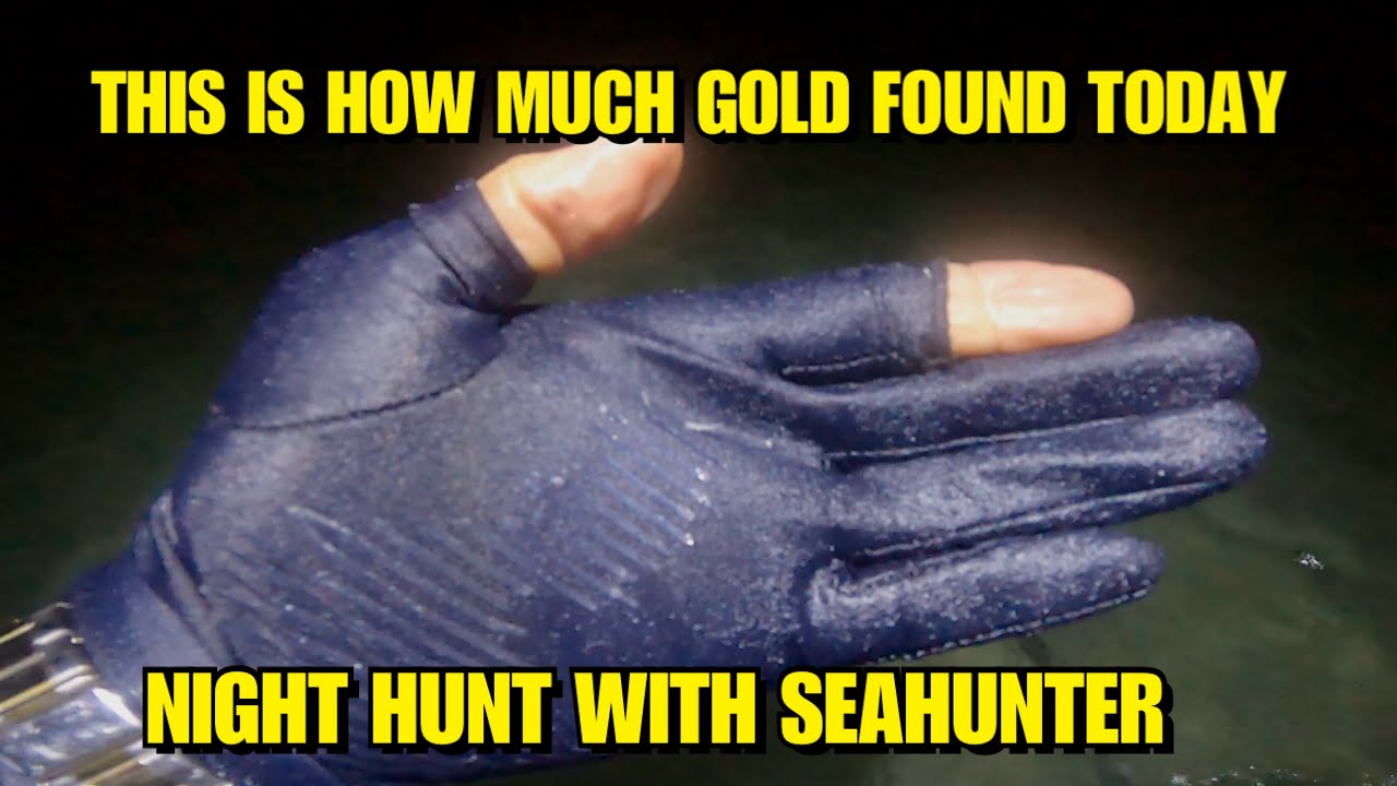 Too Many Targets | How many Gold I found?