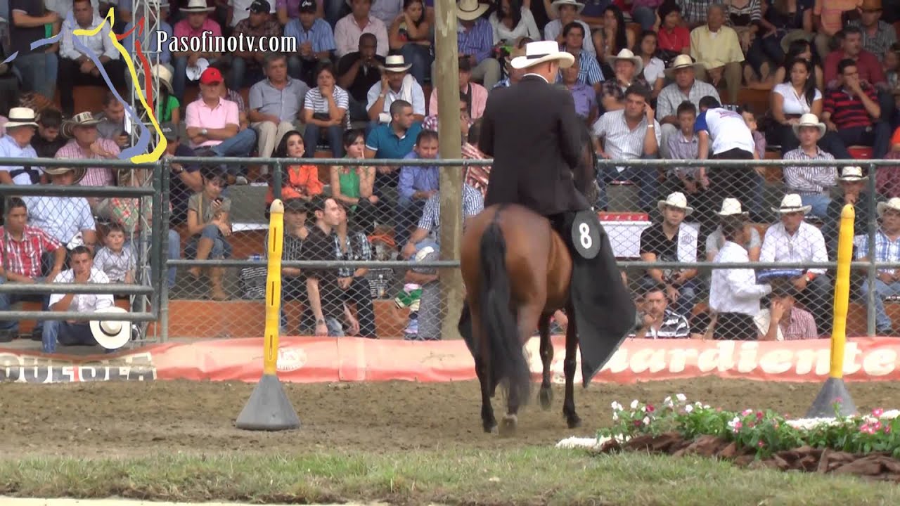 Trocha- Tripleta de Santa Isabela, Feria de Floes 2012
