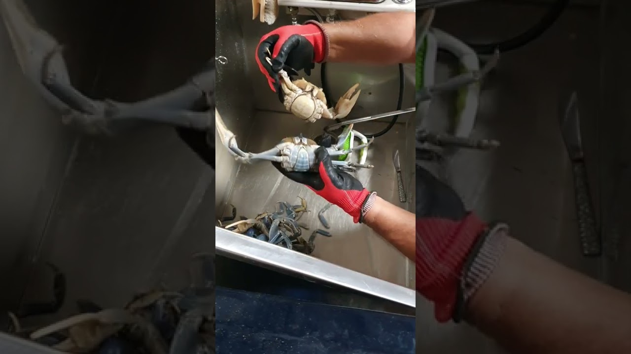 Are Florida Blue Land Crabs Good to Eat