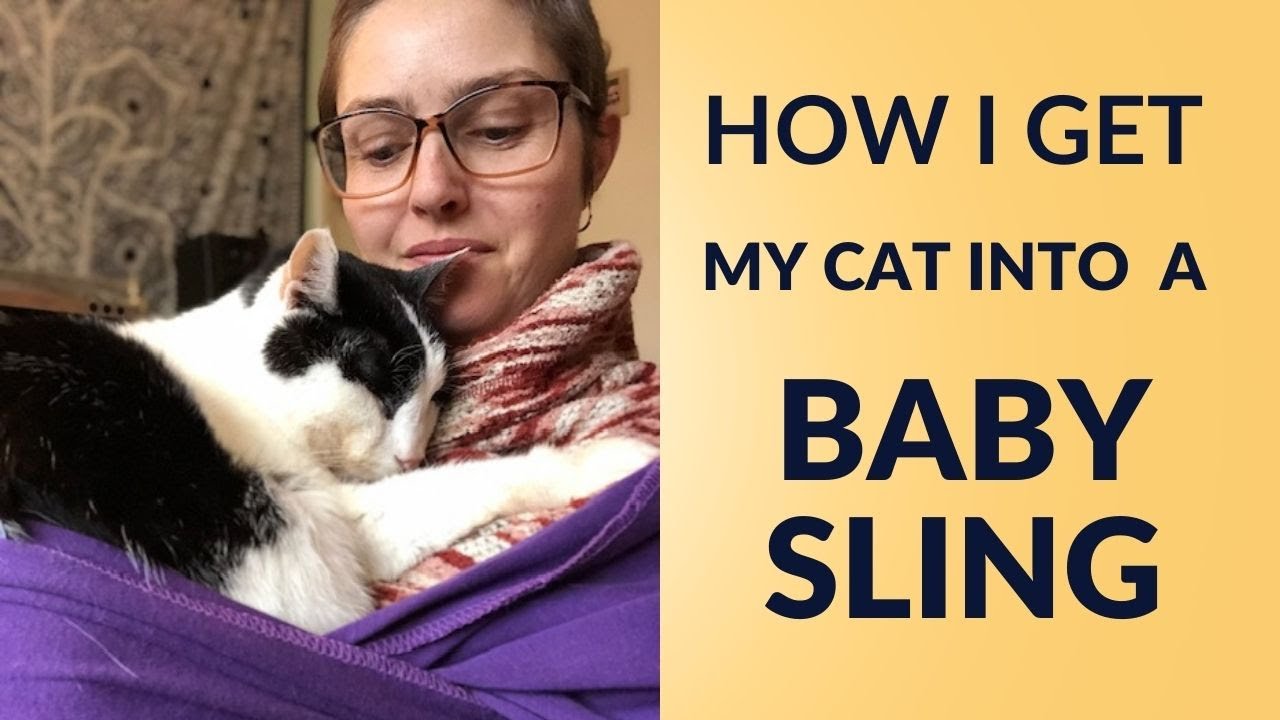 How to Safely Carry Your Cat in a Baby Sling