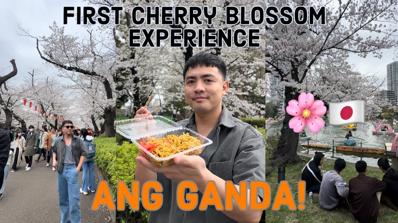 Japan Vlog 8: SOLO AGAIN + CHERRY BLOSSOMS SA UENO 🇯🇵