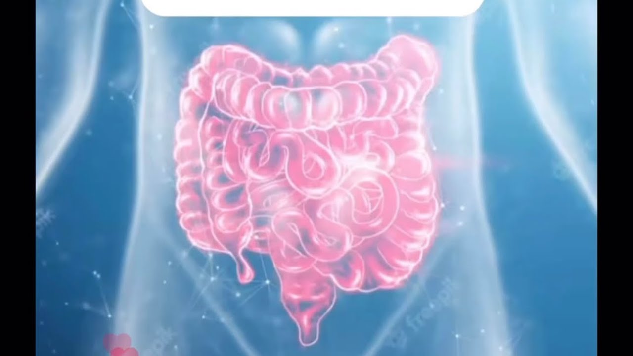 O intestino doente pode causar dor articular