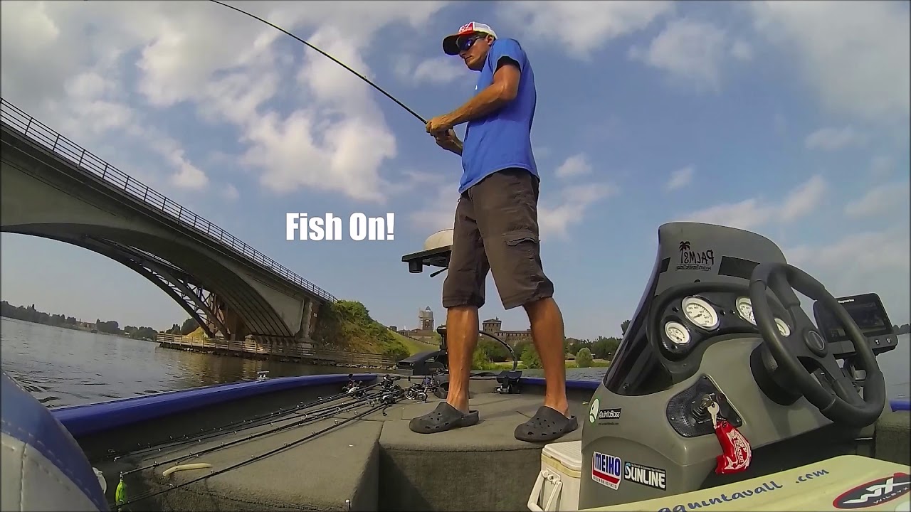 Bass fishing - Lipless Crankbait by Luca Quintavalla