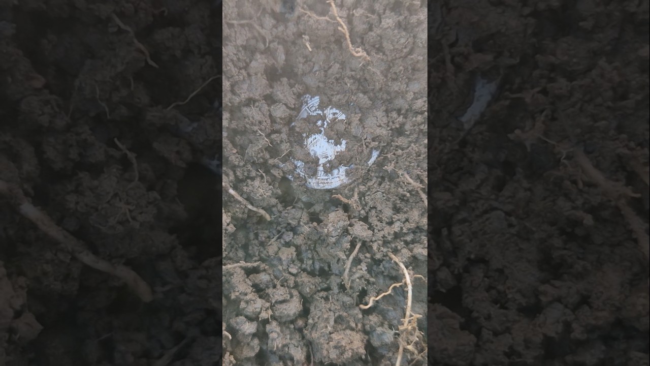 This Was Lost FOREVER Until Today..