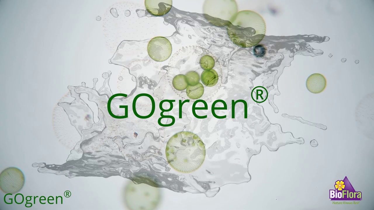 BioFlora GOgreen Video