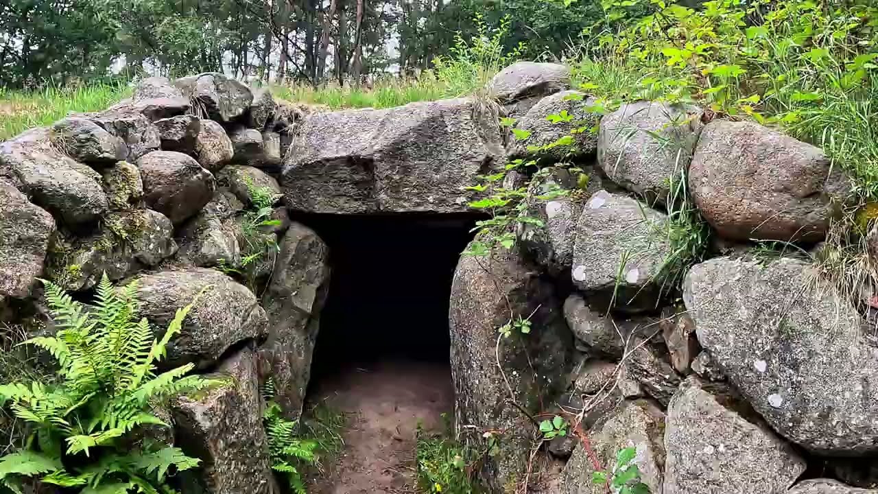 I accidentally discovered a settlement in the forest that is approximately 5000 years old,