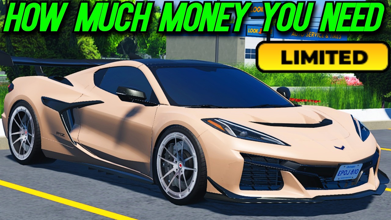 HOW MUCH MONEY YOU WILL NEED FOR THE CORVETTE UPDATE IN YOUNG STREET, ONTARIO!