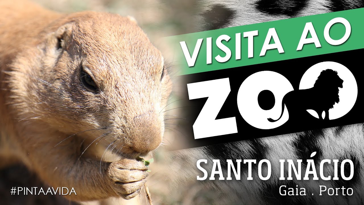 Visita ao ZOO Santo Inácio
