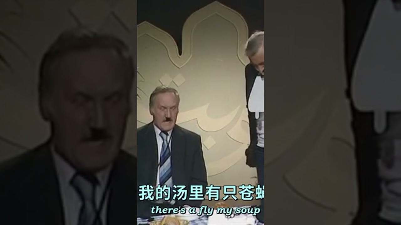 THERE IS A FLY IN MY SOUP german