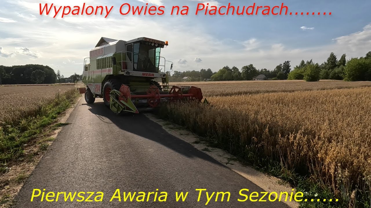 #188 Żniwa 2023 || Tak Słabego Owsa Dawno Nie Mieliśmy || Pierwsza Awaria W Tym Roku