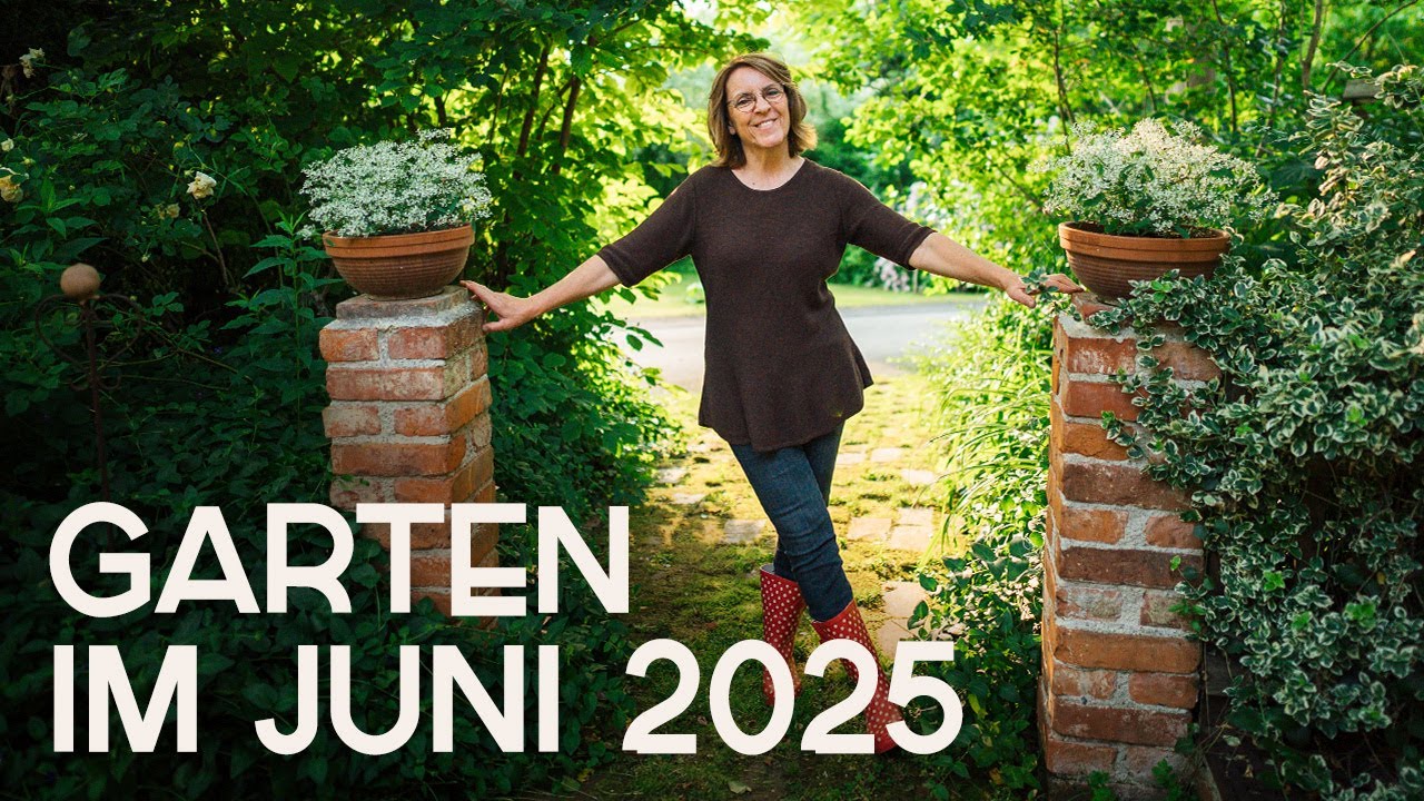 Aktueller Rundgang durch den Juni-Garten: Alles wächst…🤗🌼