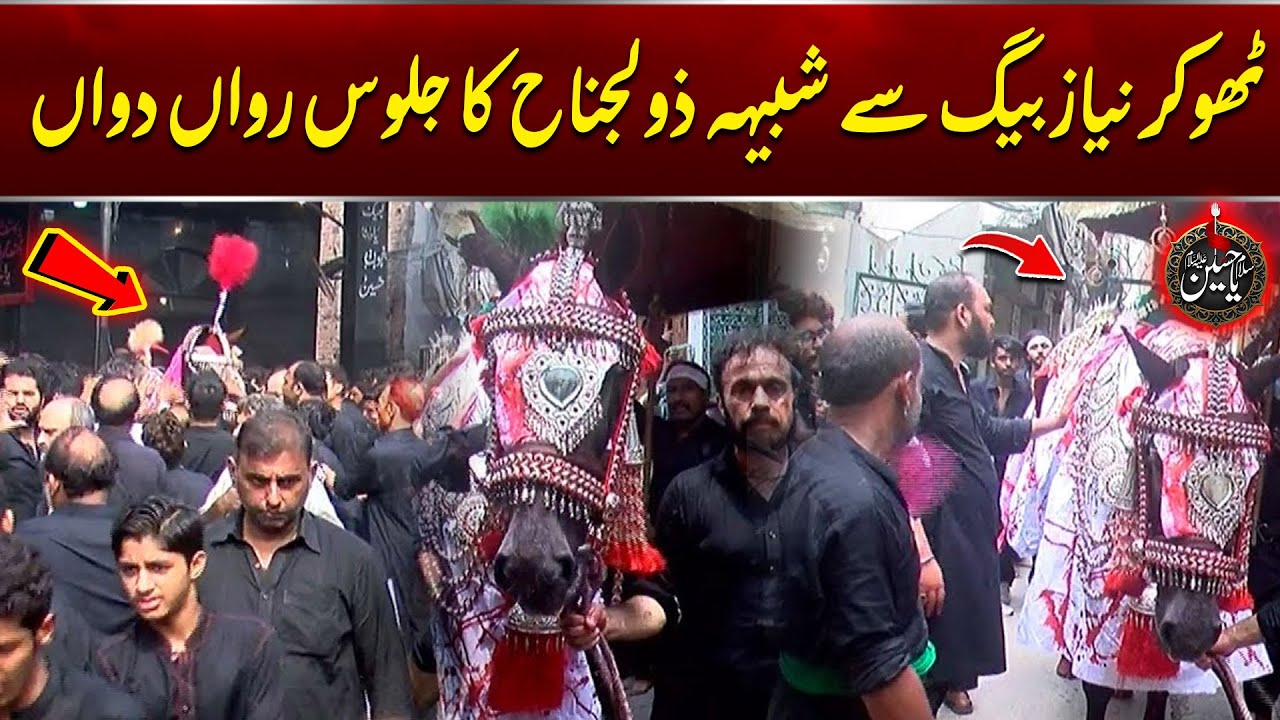 10th Muharram 2025 | Imam Bargha Aiwan -E- Haider Thokhar Say Shabih-E-Zuljinah Ka Jaloos  | City 42
