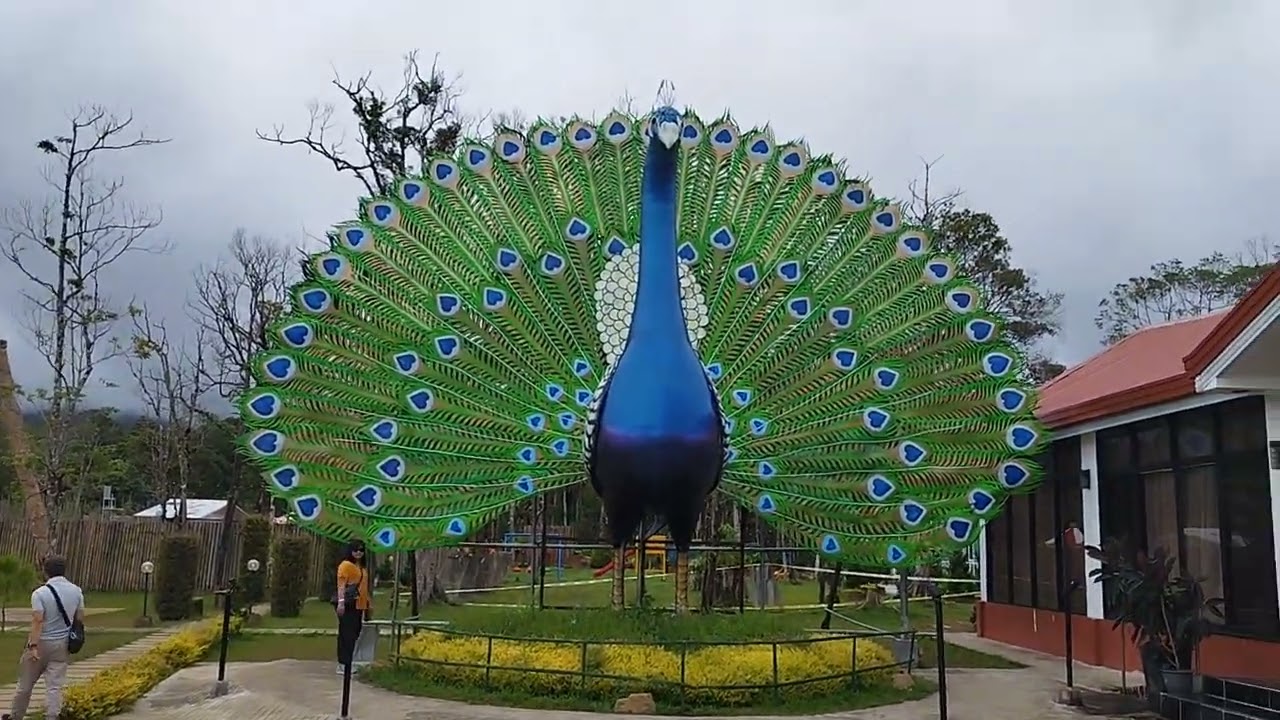 Claveria View Deck & Illuminada