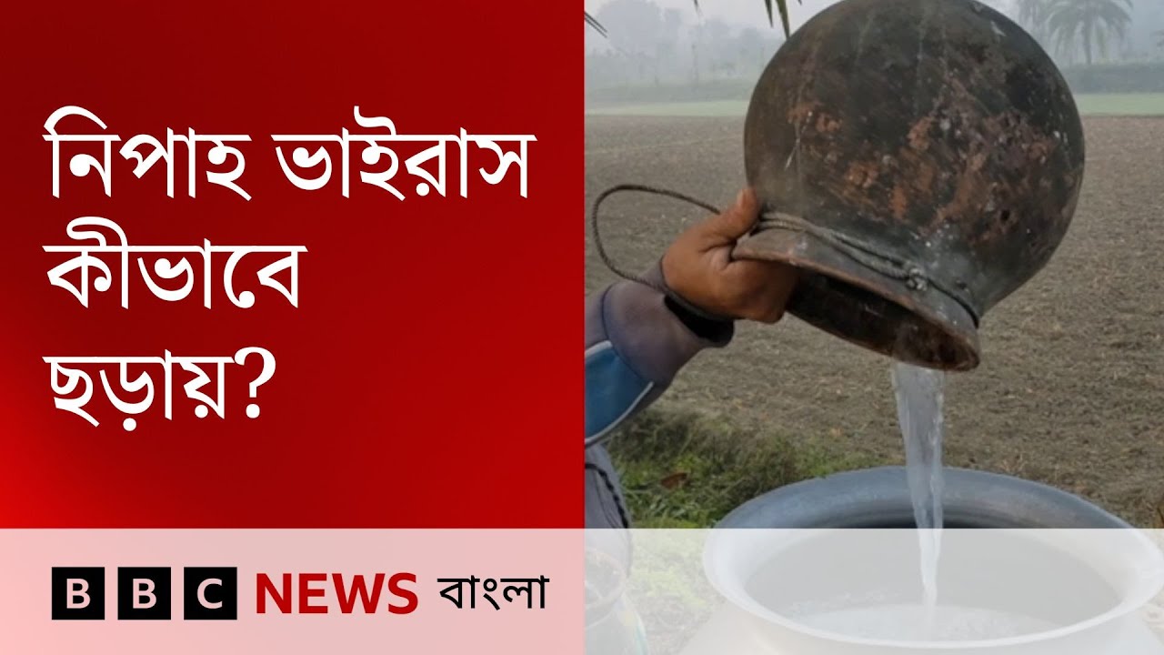 নিপাহ ভাইরাস কী, কীভাবে ছড়ায়, লক্ষণ, প্রতিরোধ | BBC Bangla