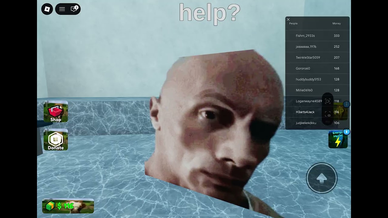 Meowl's sad story