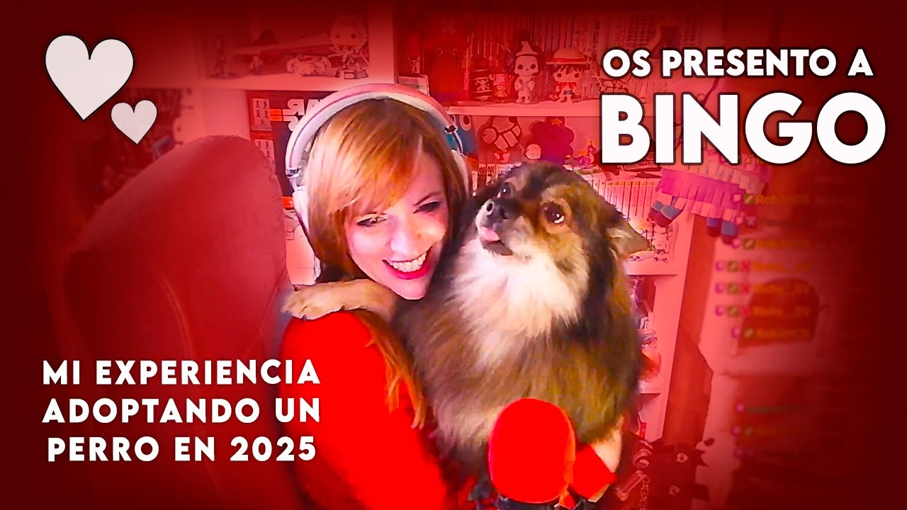 Os presento a Bingo - Mi experiencia adoptando un perro en 2025