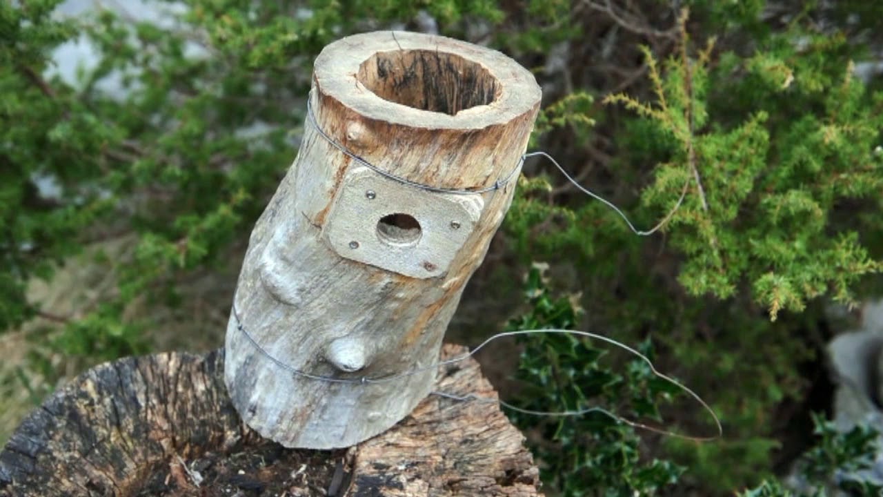 Fuglemat og fuglekasser