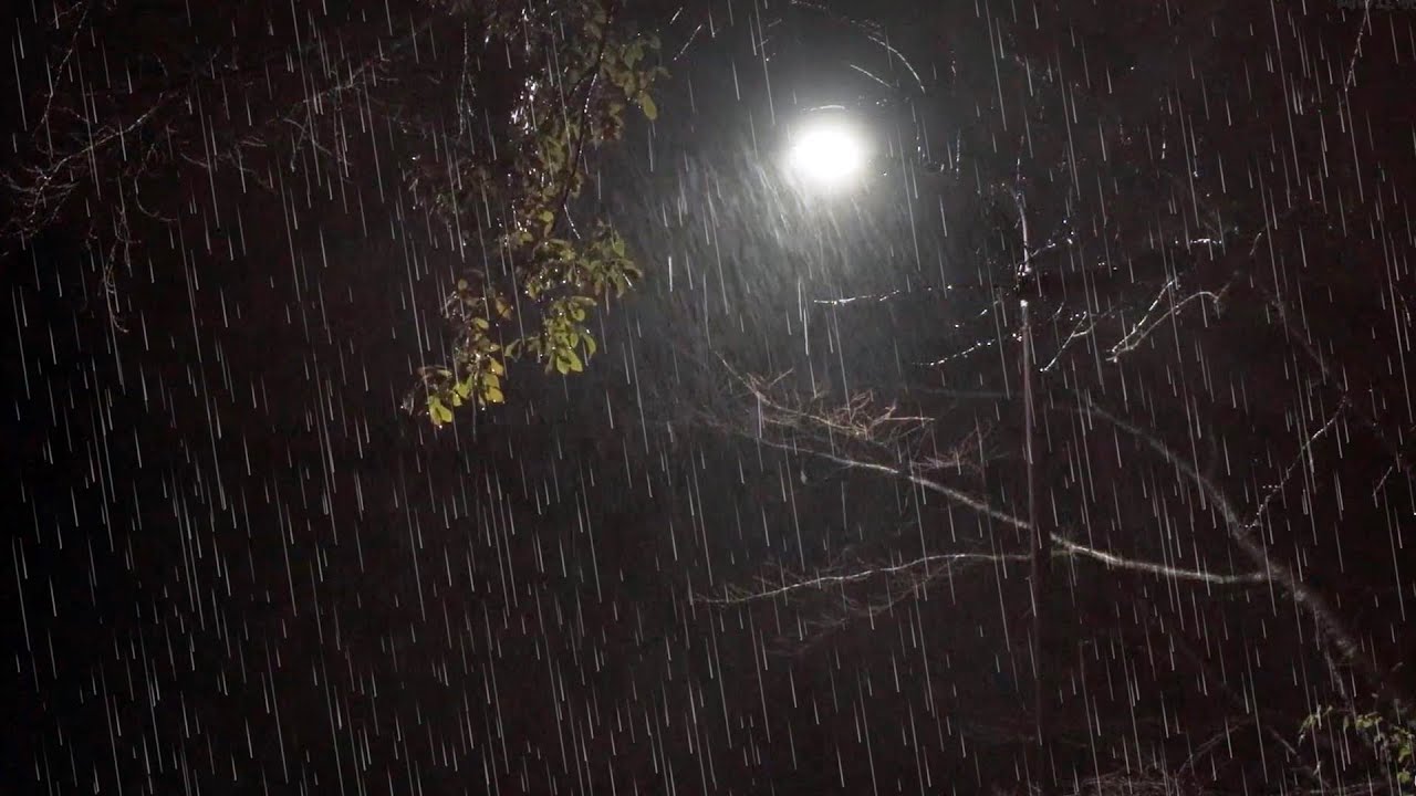 Deep Sleep Rain | Heavy Night Rain through Trees and Streetlights 10 Hours