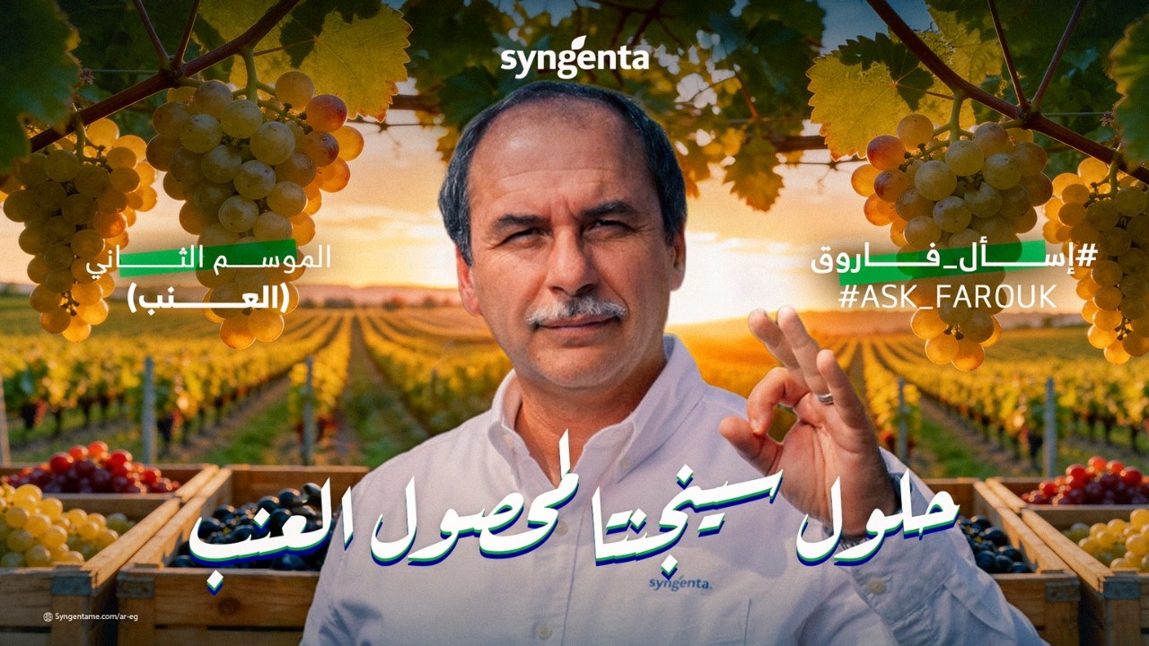 إسأل فاروق | موسم العنب الحلقة السابعة - حلول سينجنتا لمحصول العنب
