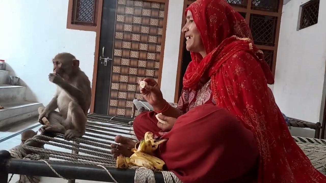 बच्चों के साथ सुकून के  पल🐒😍❤️@Unconditional Love 💯❤️