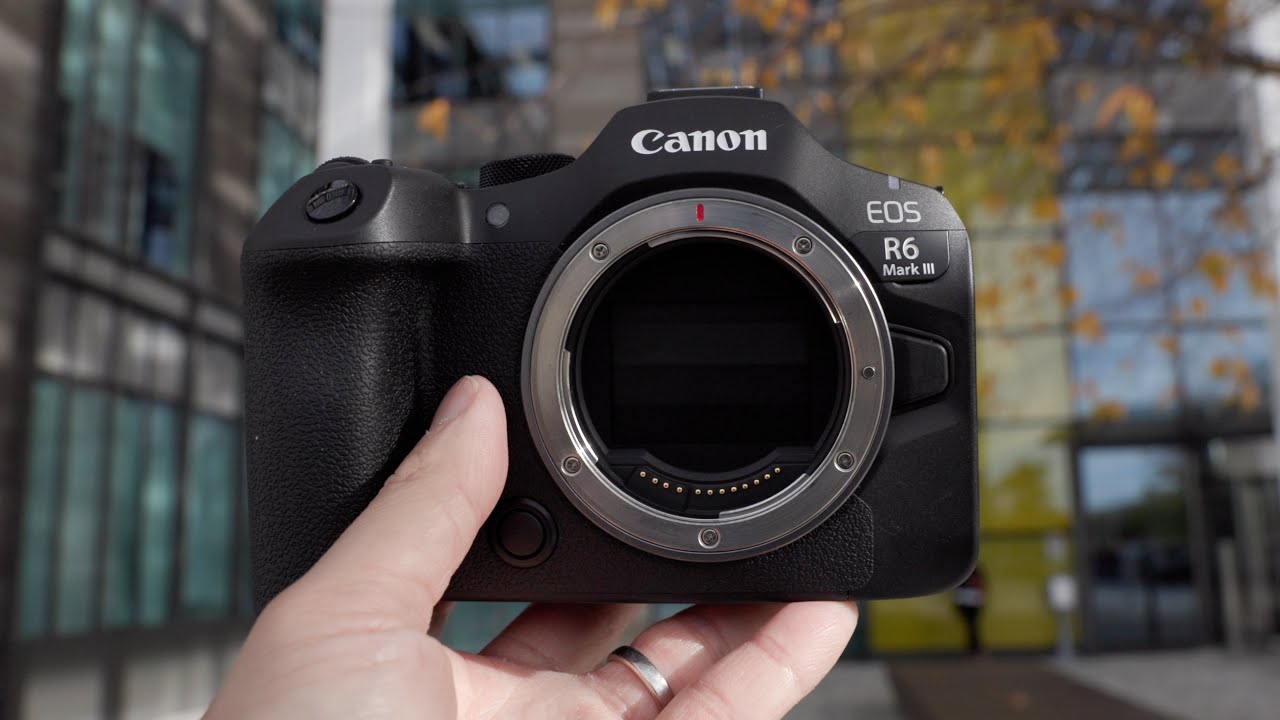 Canon EOS R6 Mark III — Волк в овечьей шкуре