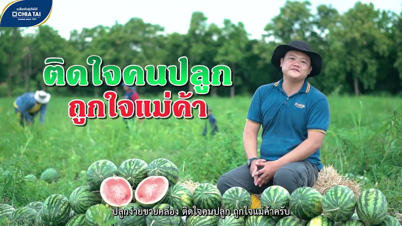 แตงโมซอนญ่า พลัส จากเจียไต๋โดนใจคนปลูก ถูกใจคนขาย ?