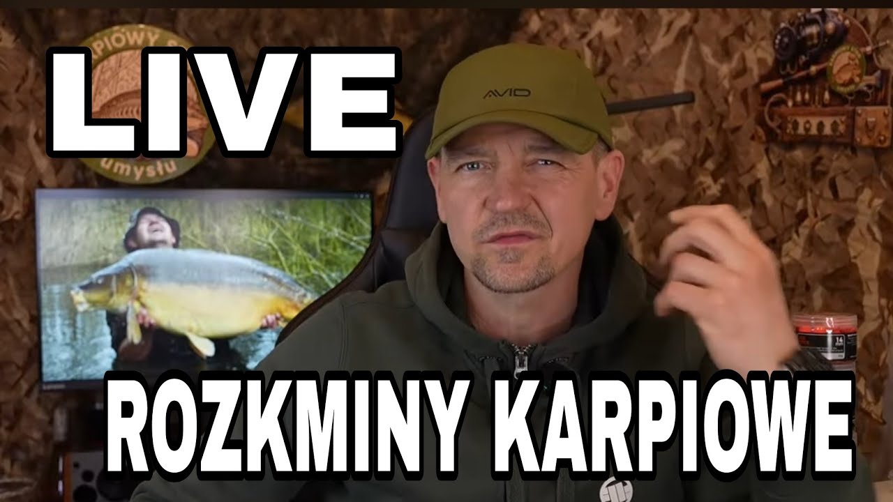 LIVE - karpiowe rozkminy