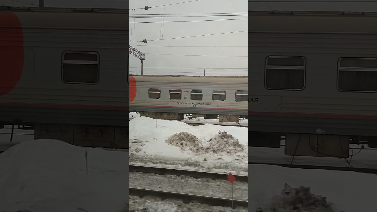 Скопление служебных вагонов на путях Сав&euml;ловского вокзала