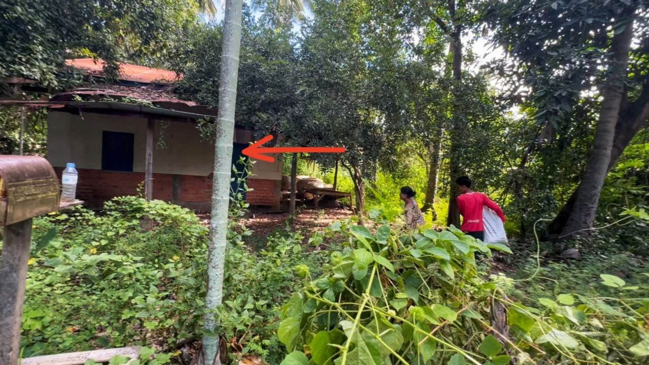 Woman Shocked When Returning Her Neglected Home Overgrown With Weeds and Trees.