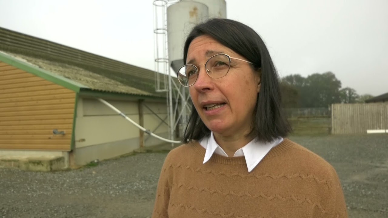 Agriculture : la filière pintade est en crise