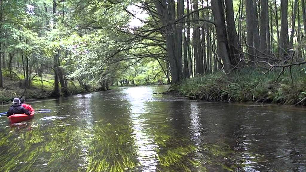 BIELIKI 2010 - SPŁYW PIŁAWĄ - Nadarzyce-Zdbice