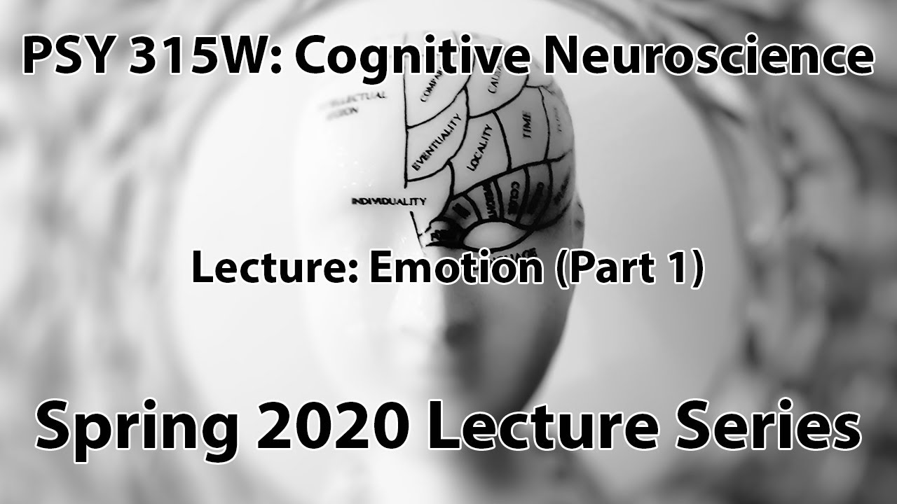 Emotion (Part 1) || Cognitive Neuroscience (PSY 315W)