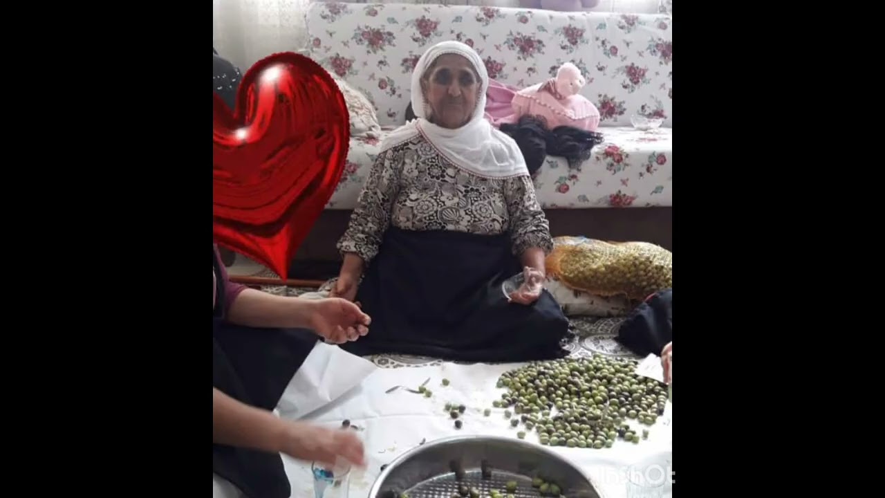 mesken ataları