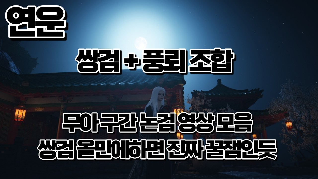 [연운] 쌍도 & 풍뢰 조합 무아 구간 논검 영상 모음