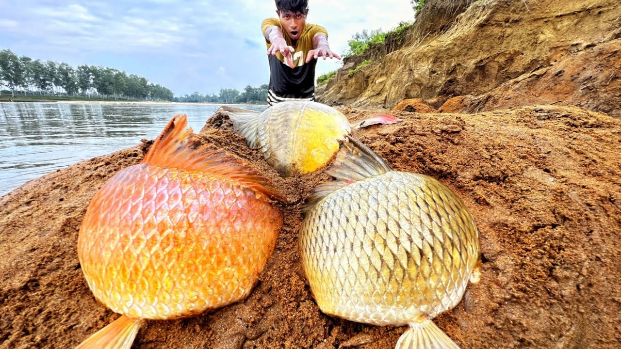 Wow Really Amazing Smart Hand Fishing In River Side Dry Place Underground Big Fish Catching #fish