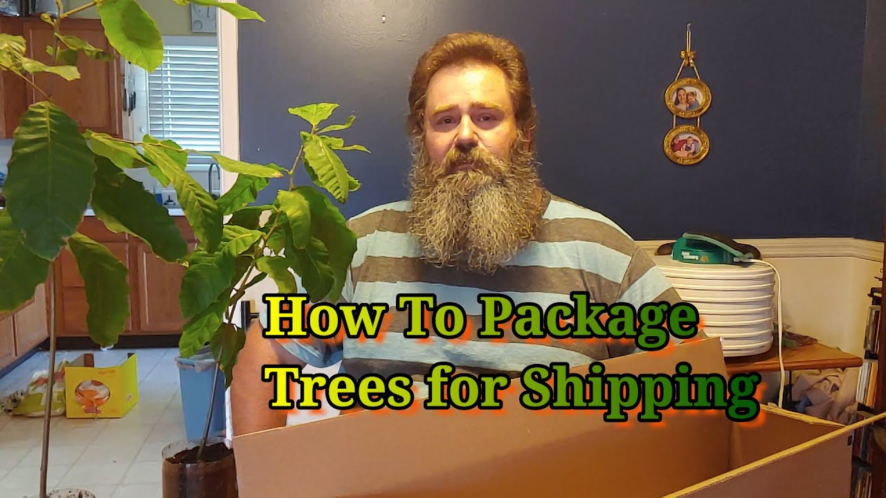 How to Package Trees for Shipping