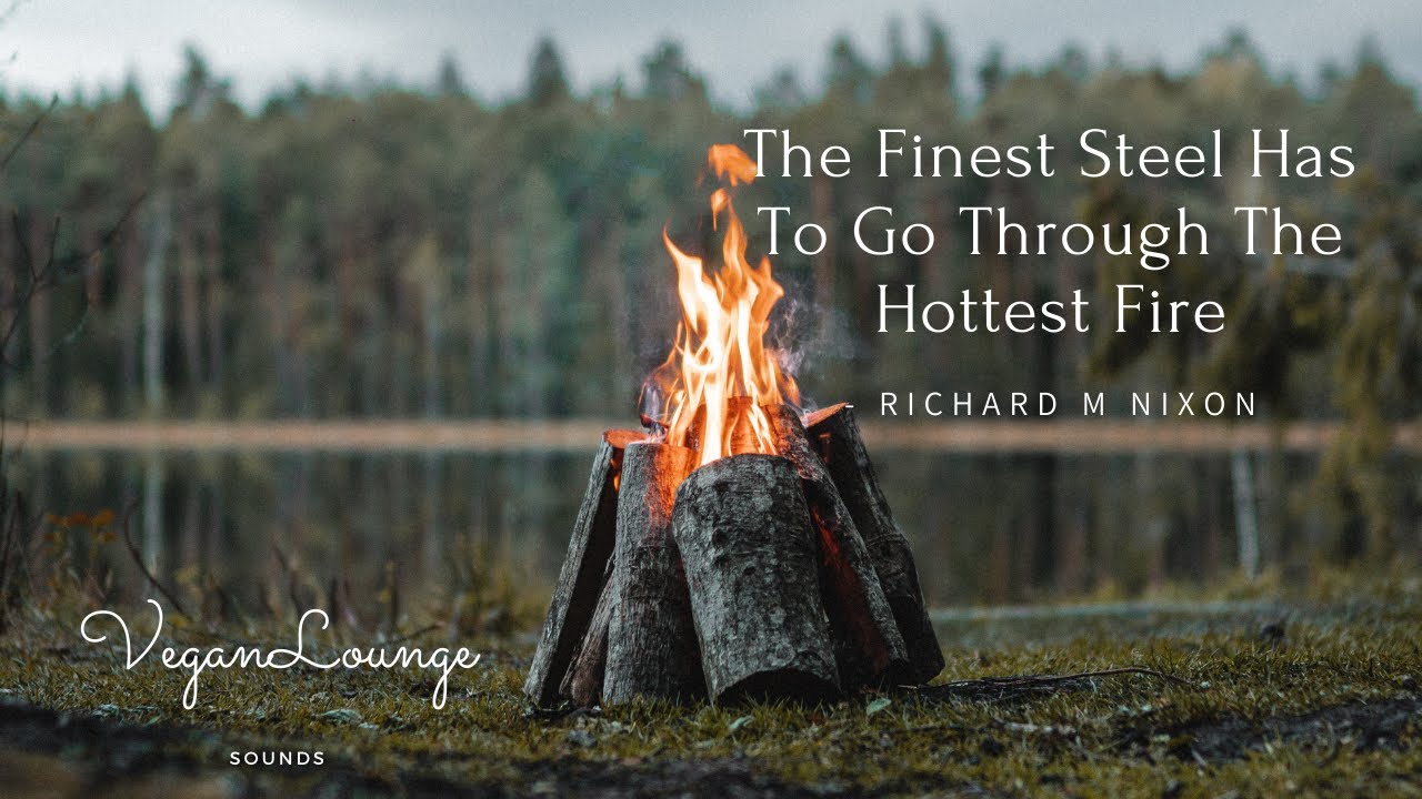 FOREST🌳BONFIRE🔥SOUNDS FOR POSITIVE VIBES AND STRESS RELIEF